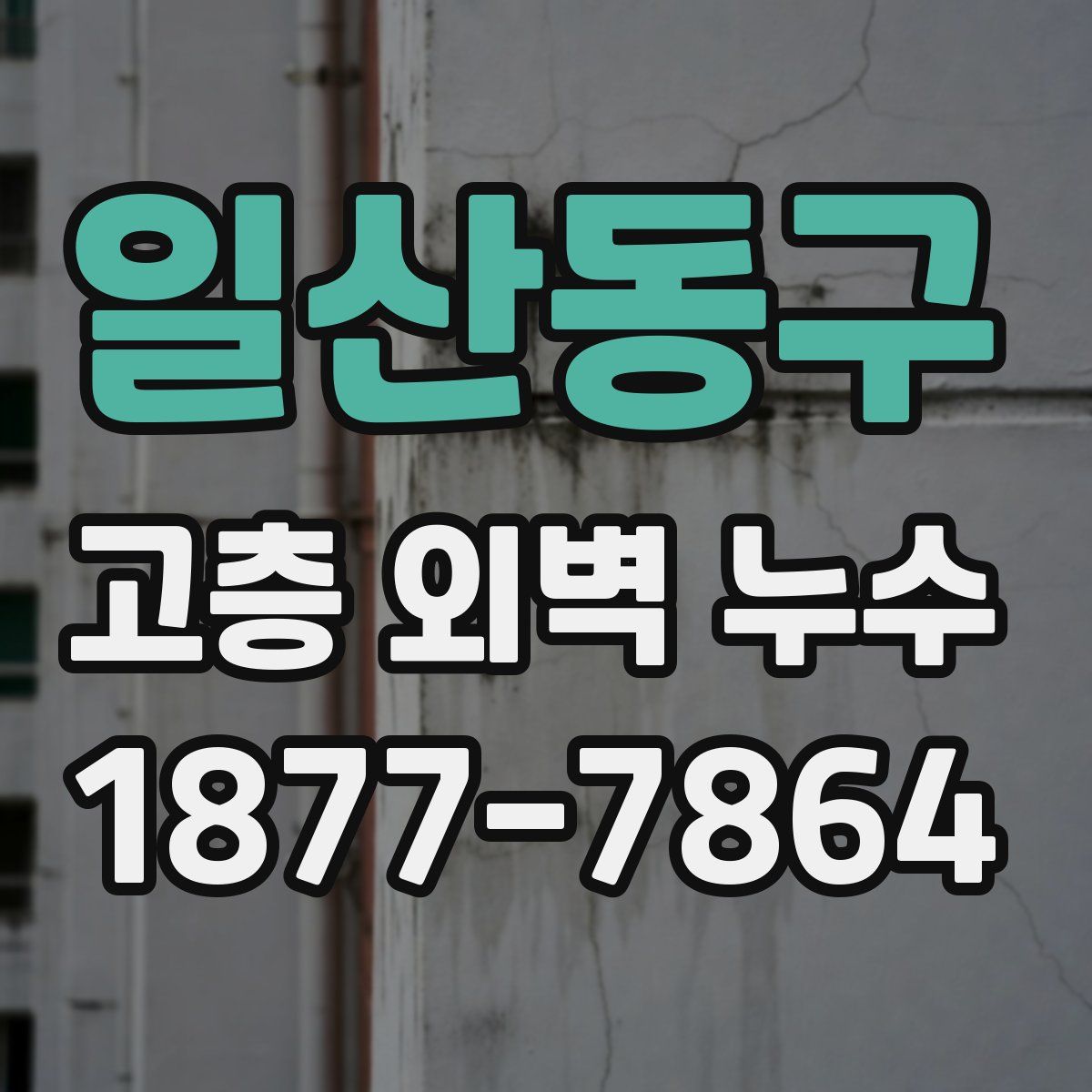 일산동구 고층 외벽 누수