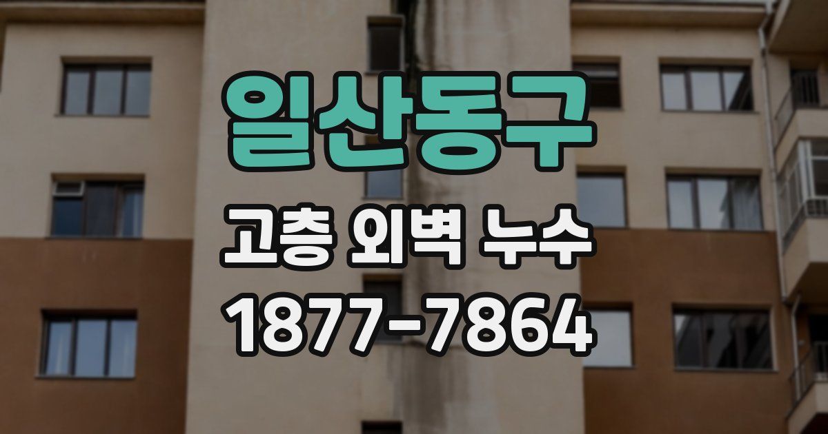 일산동구 고층 외벽 누수