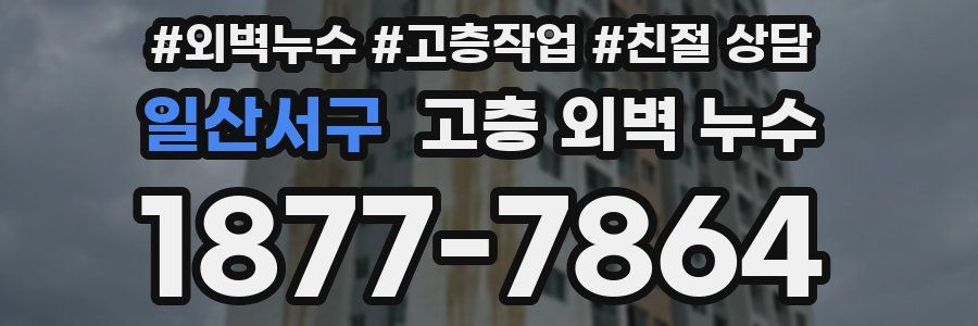 일산서구 고층 외벽 누수