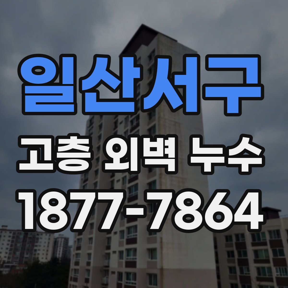 일산서구 고층 외벽 누수