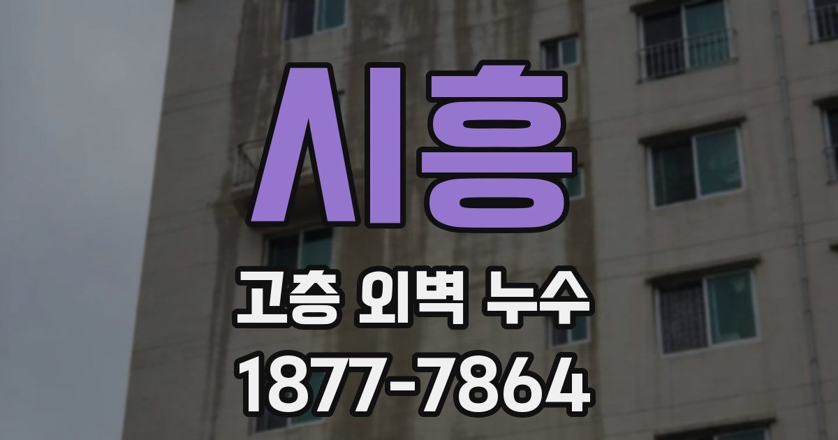 시흥 고층 외벽 누수