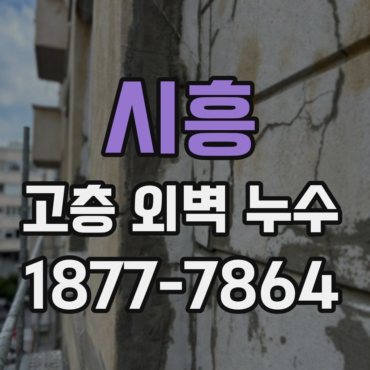 시흥 고층 외벽 누수