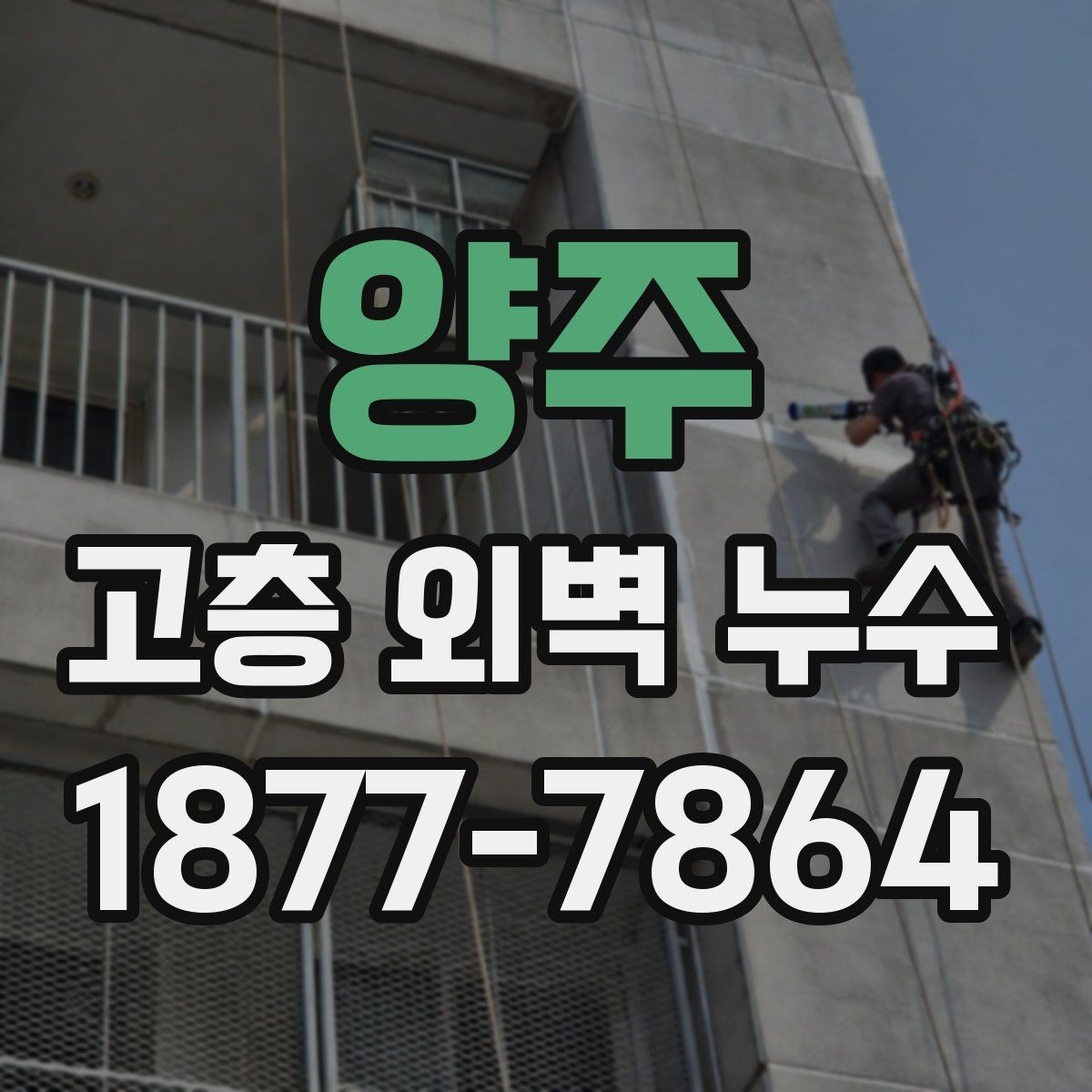 양주 고층 외벽 누수 진단 장비는 어떻게 다를까
