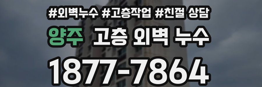 양주 고층 외벽 누수