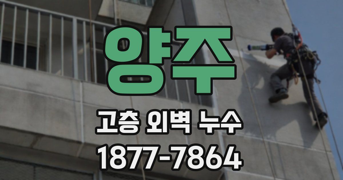 양주 고층 외벽 누수