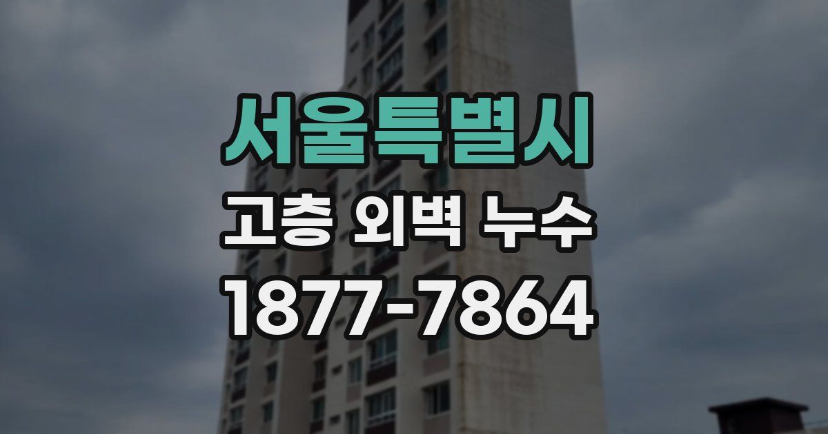 서울특별시 고층 외벽 누수