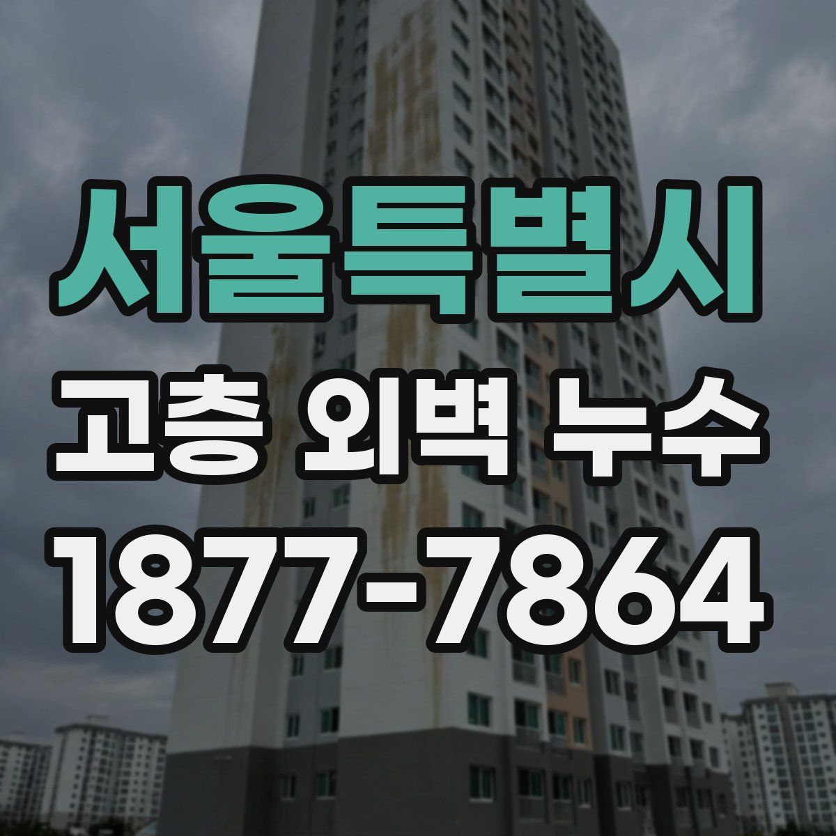 서울특별시 고층 외벽 누수