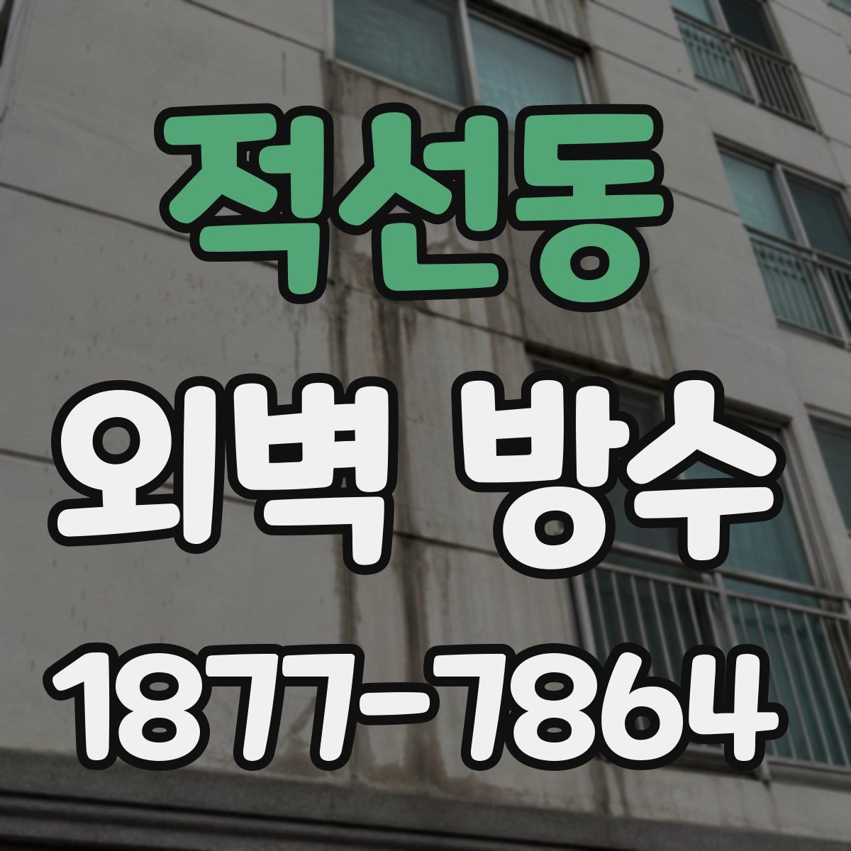 적선동 외벽 방수