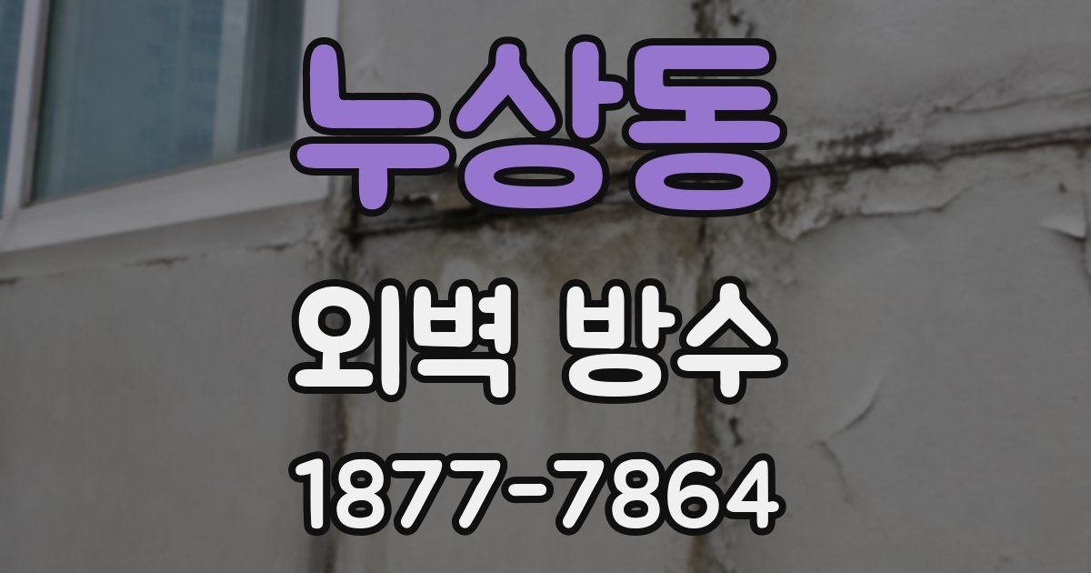 누상동 외벽 방수