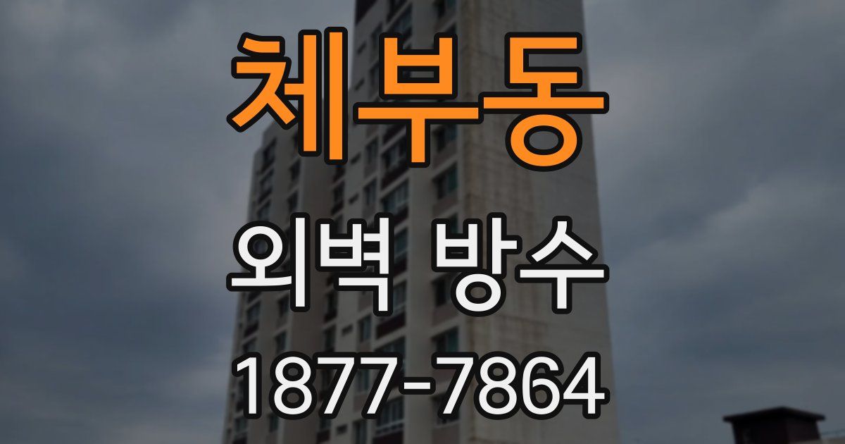 체부동 외벽 방수