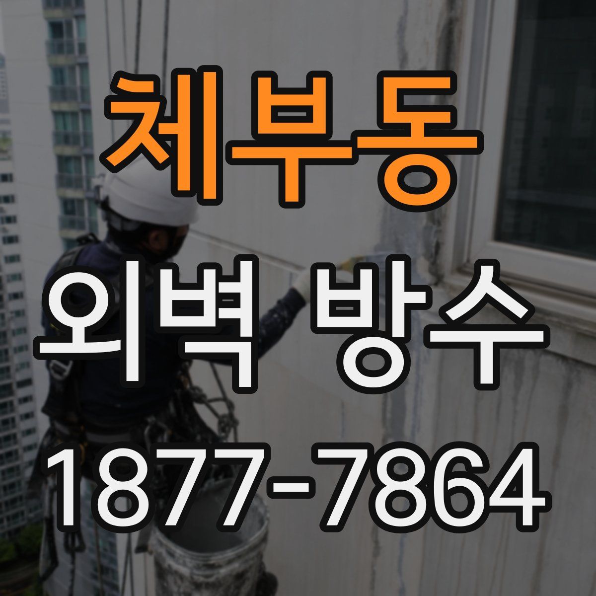 체부동 외벽 방수