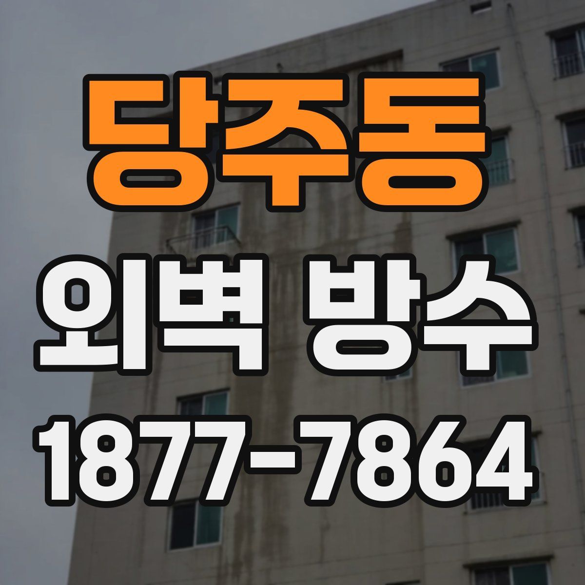 당주동 외벽 방수