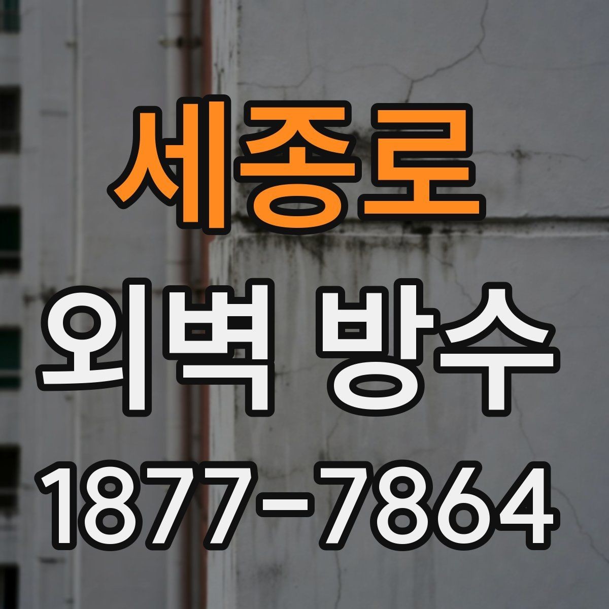 세종로 외벽 방수 상태가 나빠지는 대표 원인