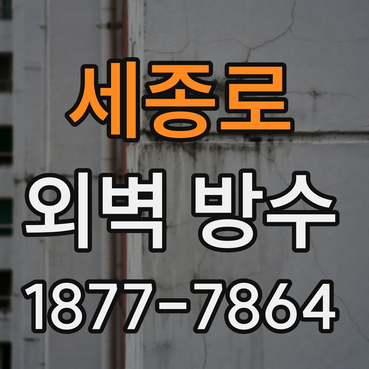 세종로 외벽 방수