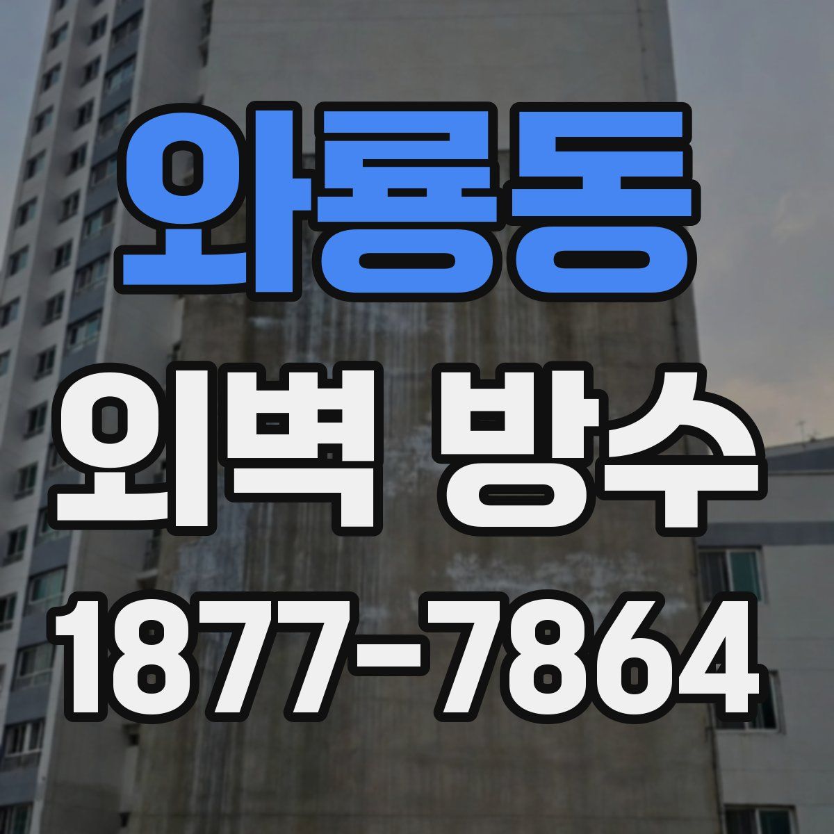 와룡동 외벽 방수
