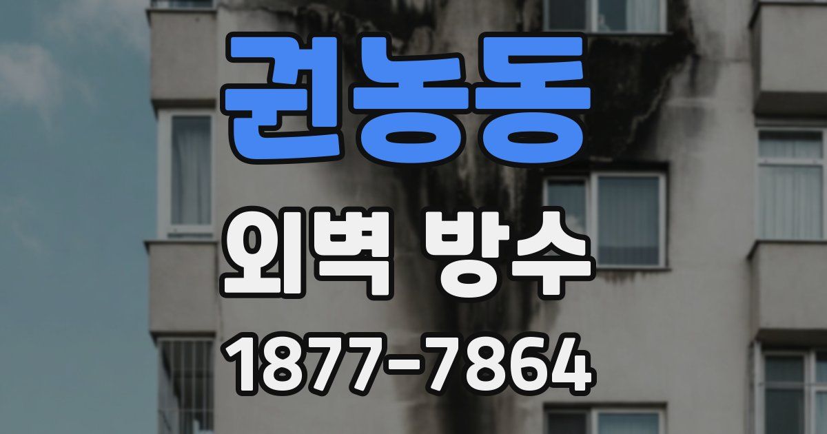 권농동 외벽 방수