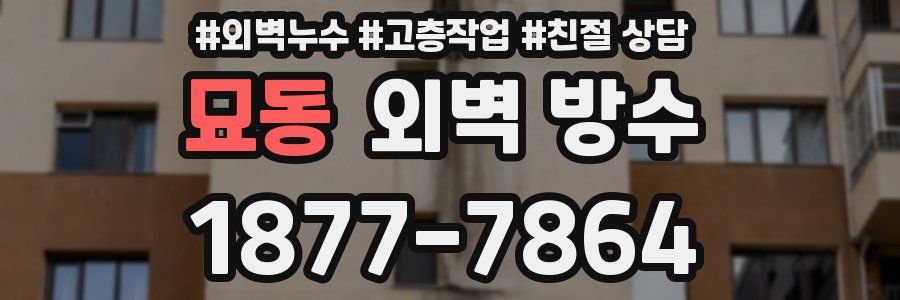 묘동 외벽 방수