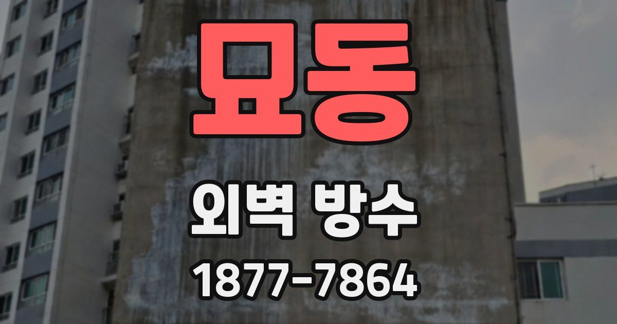 묘동 외벽 방수