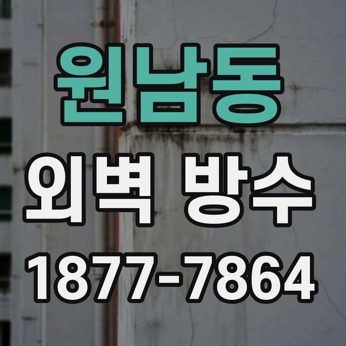 원남동 외벽 방수