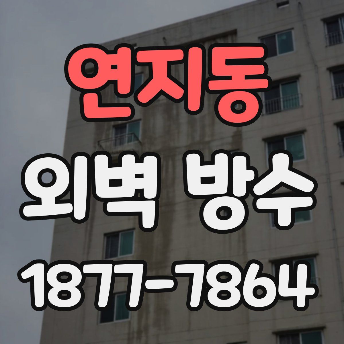 연지동 외벽 방수
