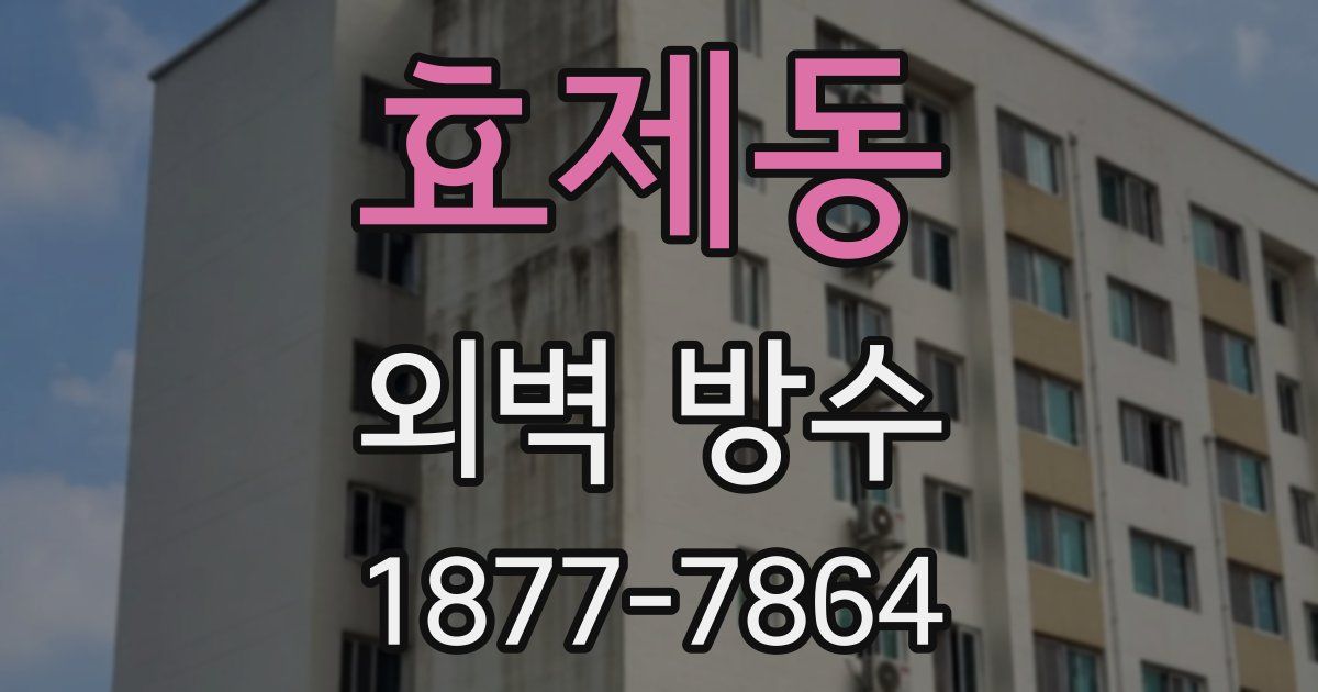 효제동 외벽 방수