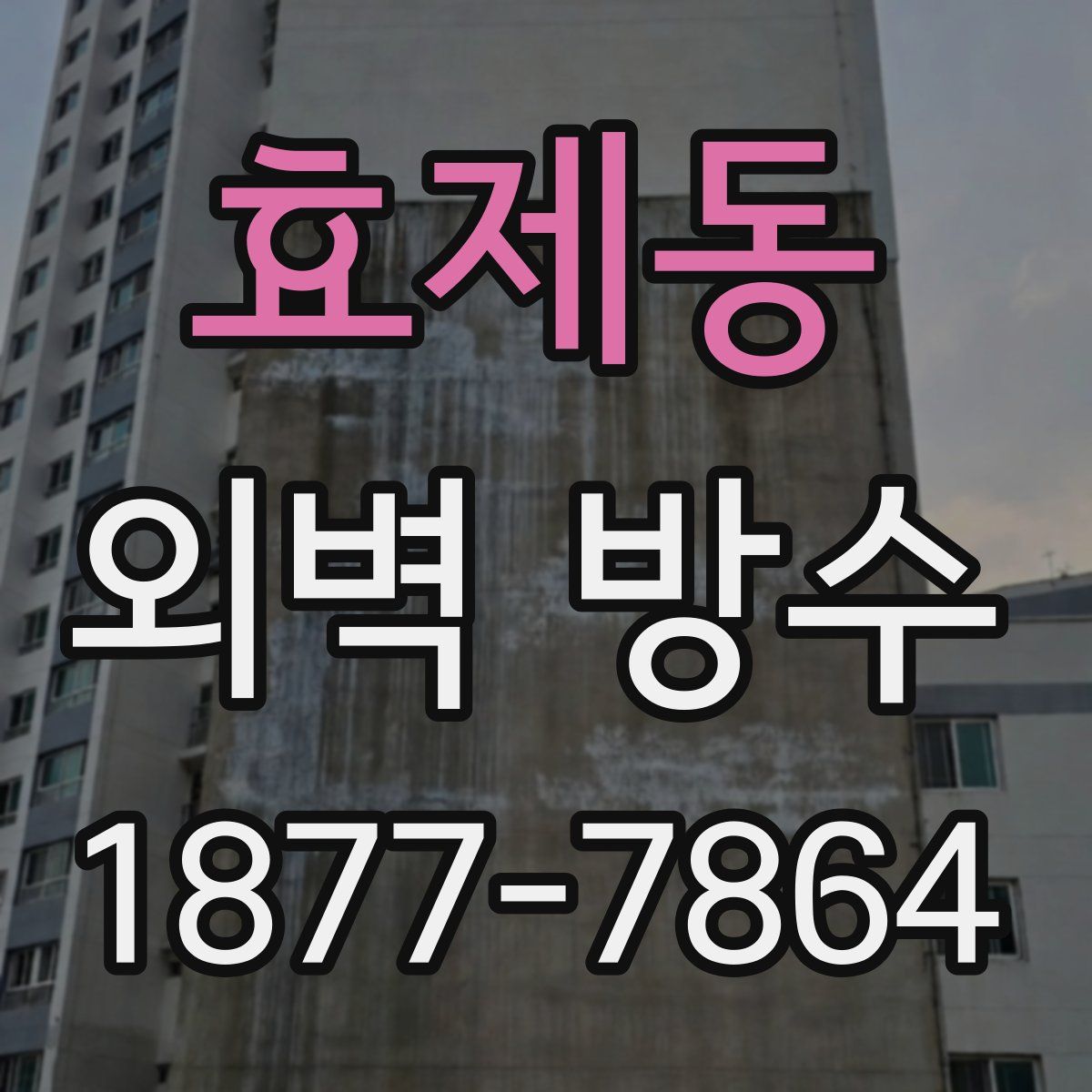 효제동 외벽 방수