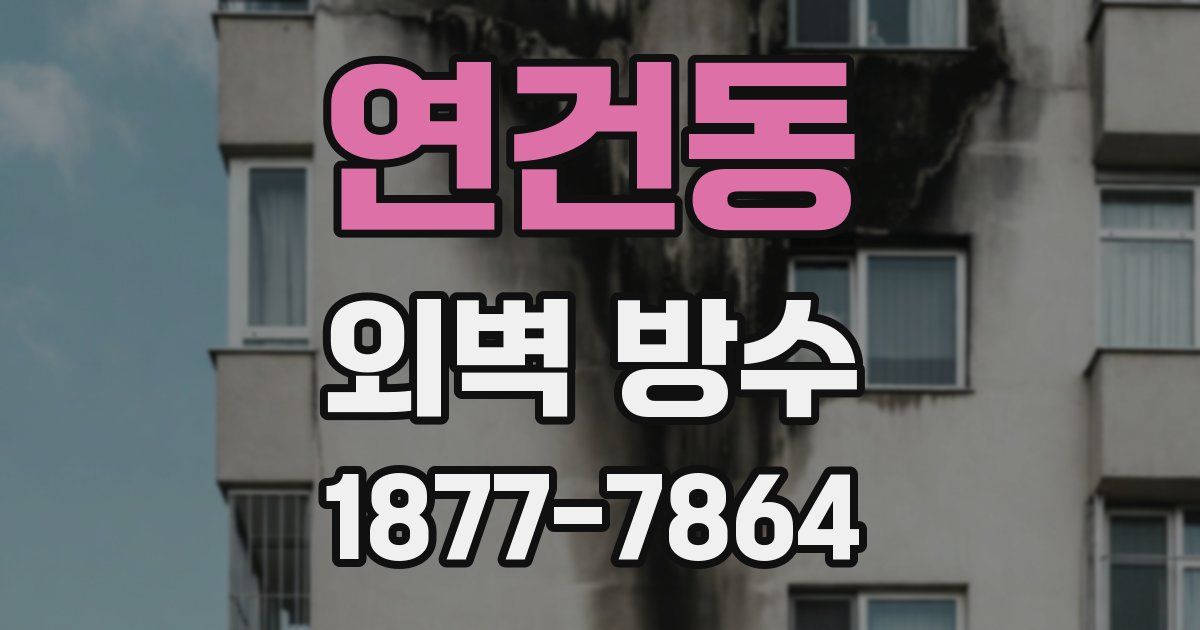 연건동 외벽 방수