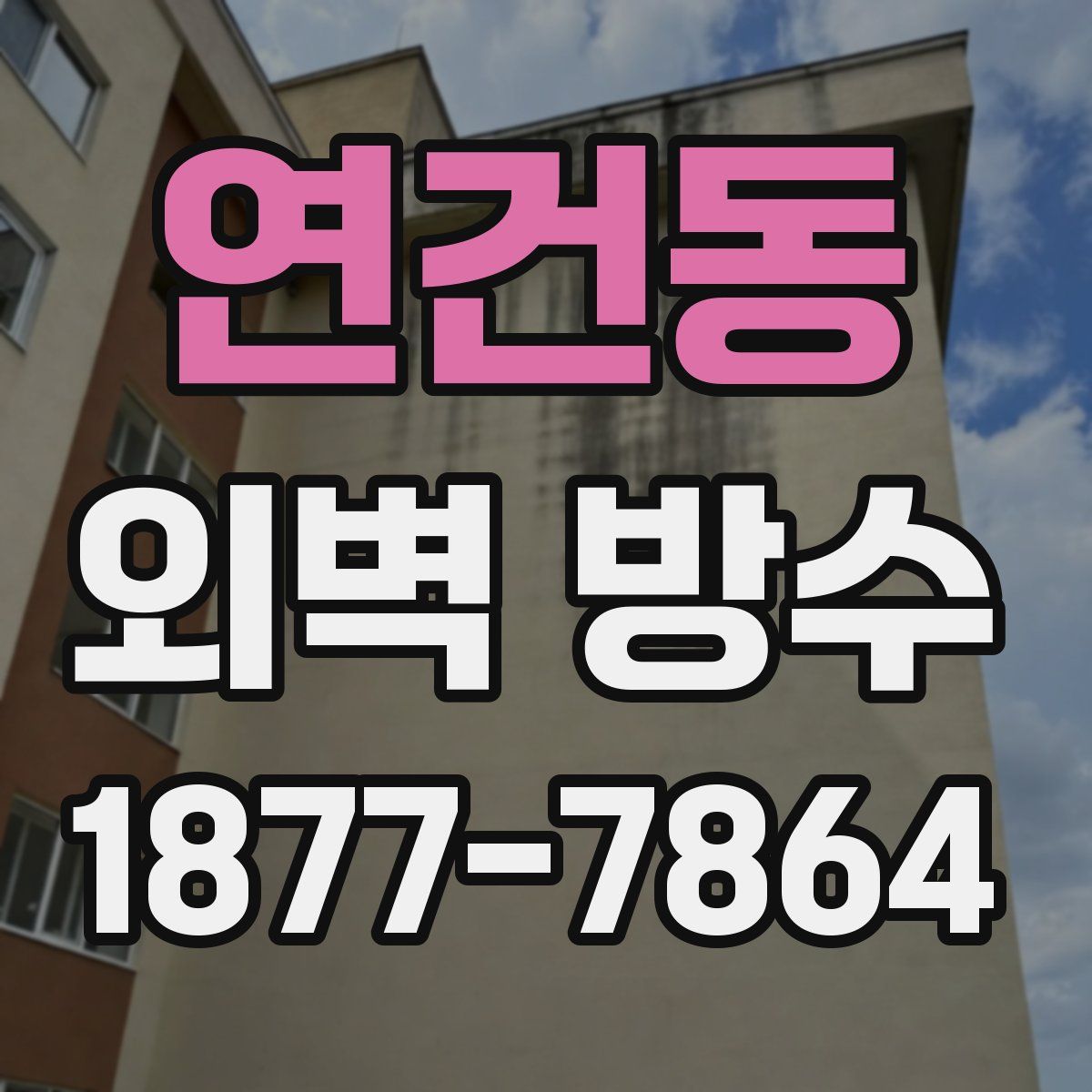 연건동 외벽 방수