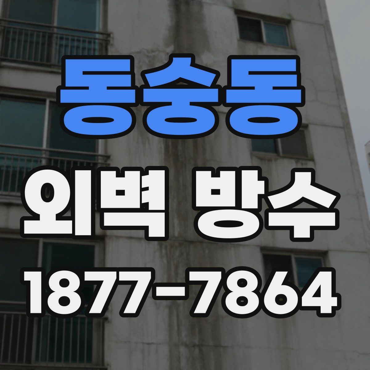 동숭동 외벽 방수