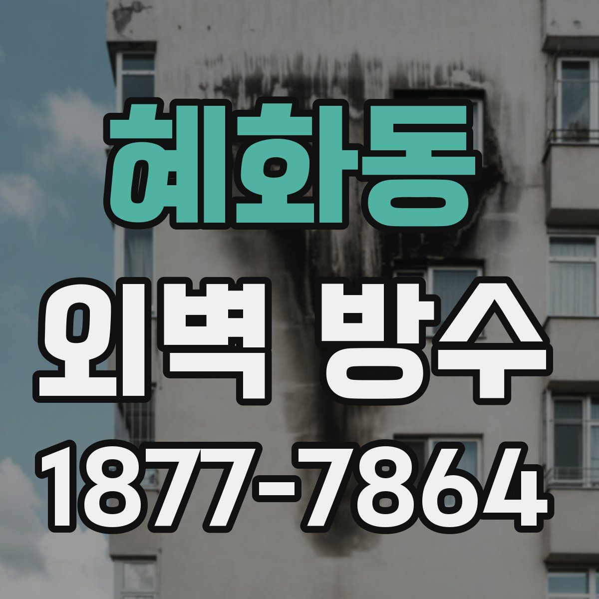 혜화동 외벽 방수