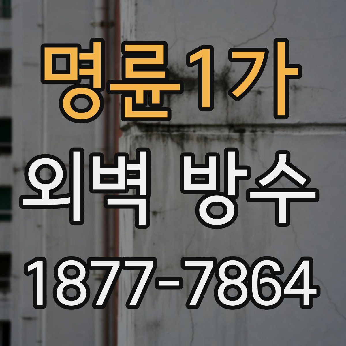 명륜1가 외벽 방수