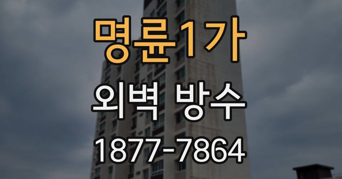 명륜1가 외벽 방수