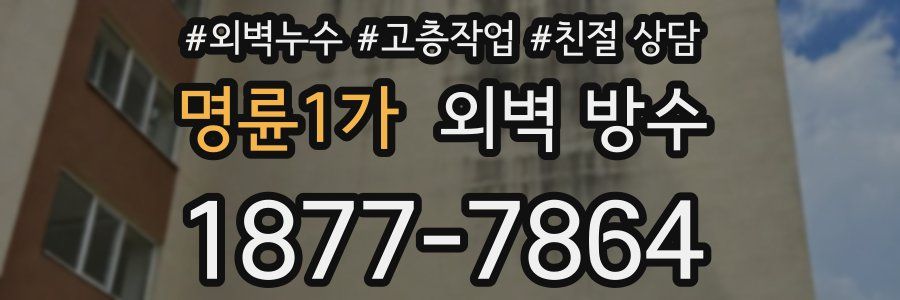 명륜1가 외벽 방수