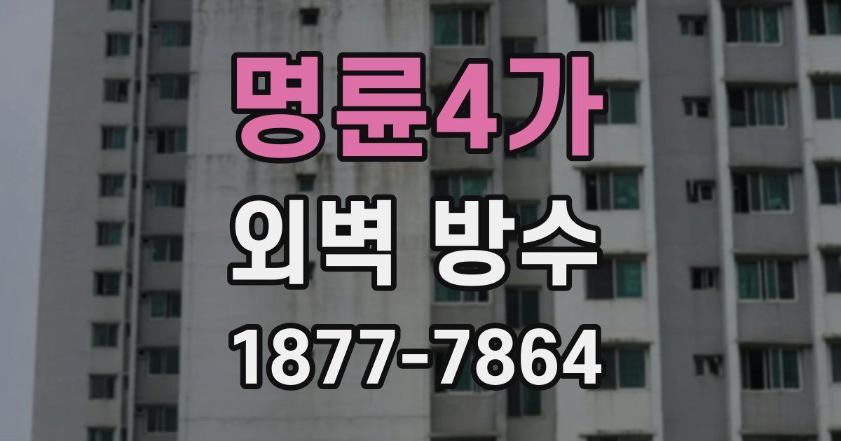 명륜4가 외벽 방수