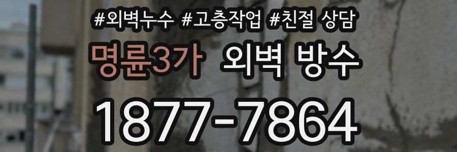명륜3가 외벽 방수