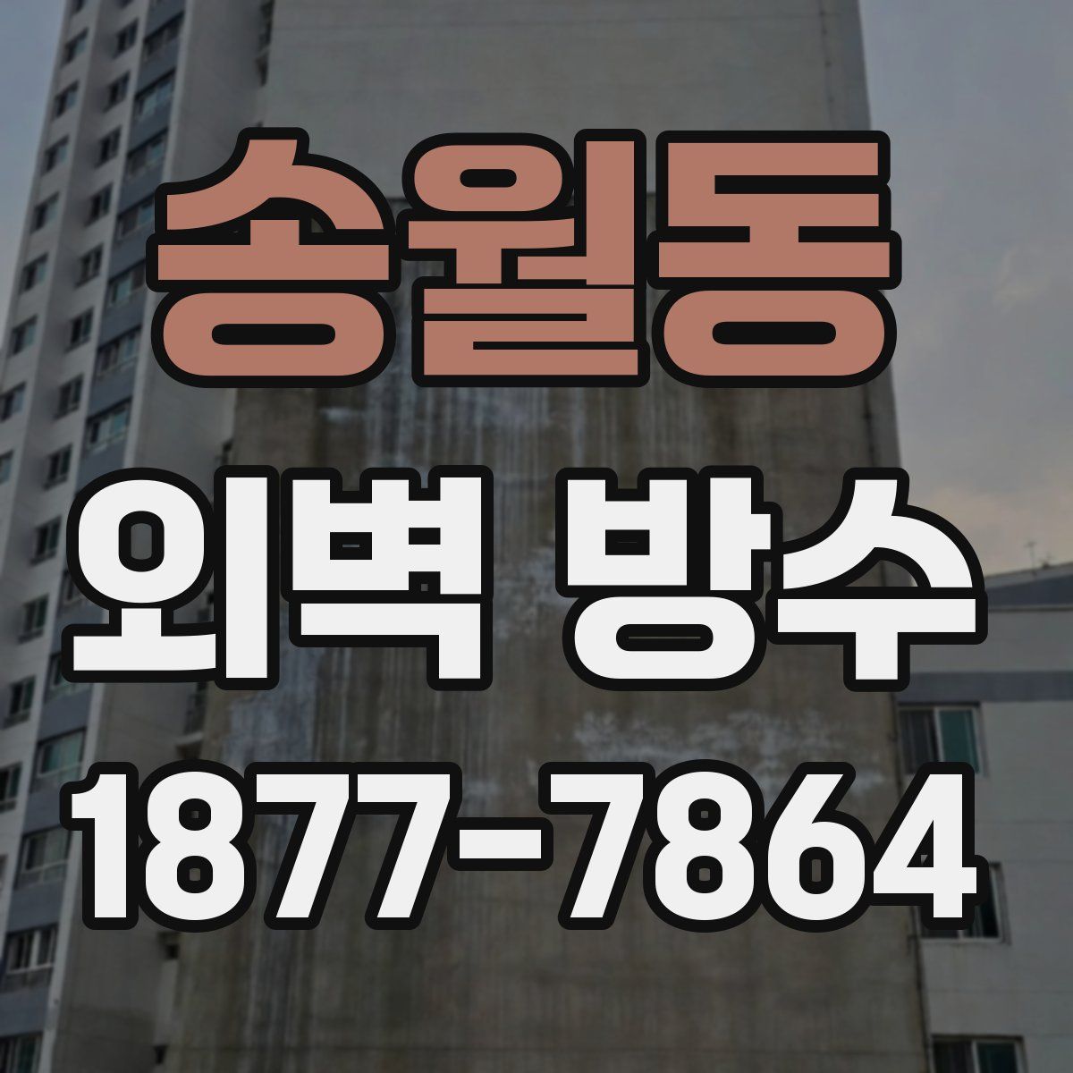 송월동 외벽 방수