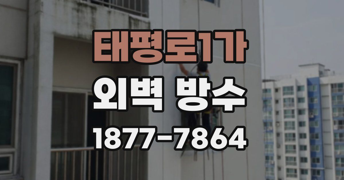태평로1가 외벽 방수