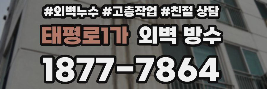 태평로1가 외벽 방수