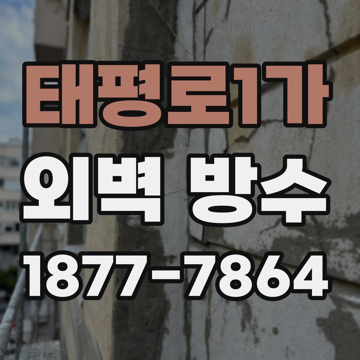 태평로1가 외벽 방수