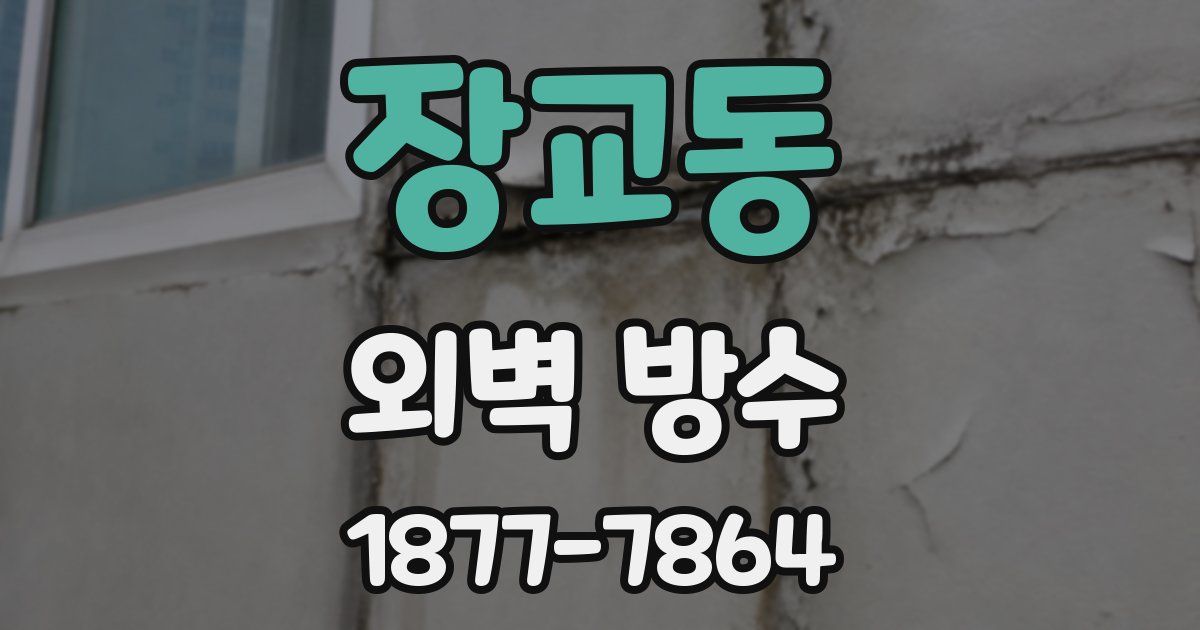 장교동 외벽 방수
