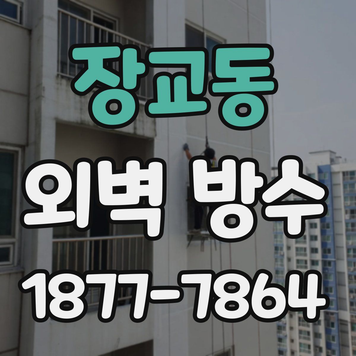 장교동 외벽 방수