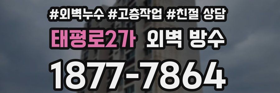 태평로2가 외벽 방수