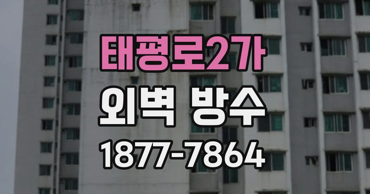 태평로2가 외벽 방수