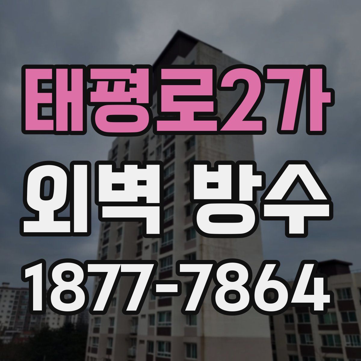 태평로2가 외벽 방수