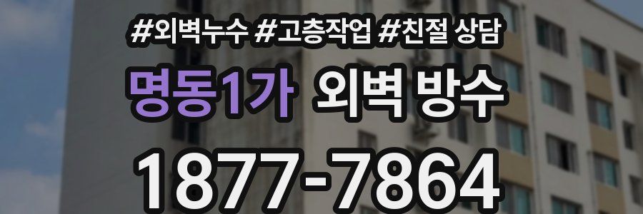 명동1가 외벽 방수