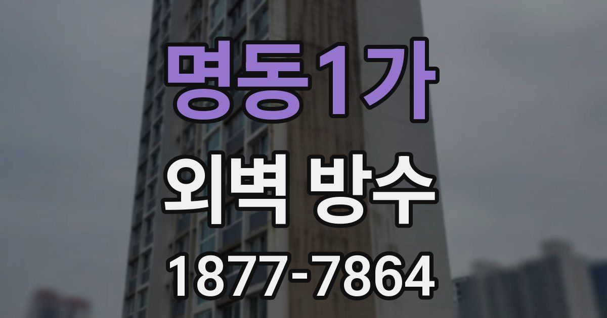 명동1가 외벽 방수