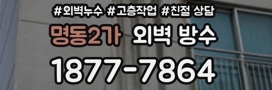 명동2가 외벽 방수