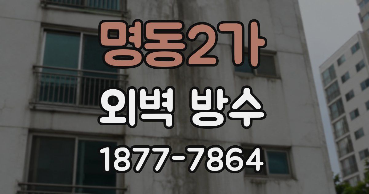 명동2가 외벽 방수