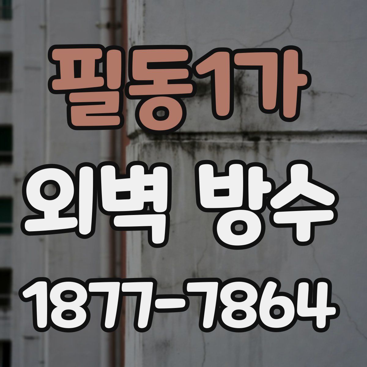 필동1가 외벽 방수