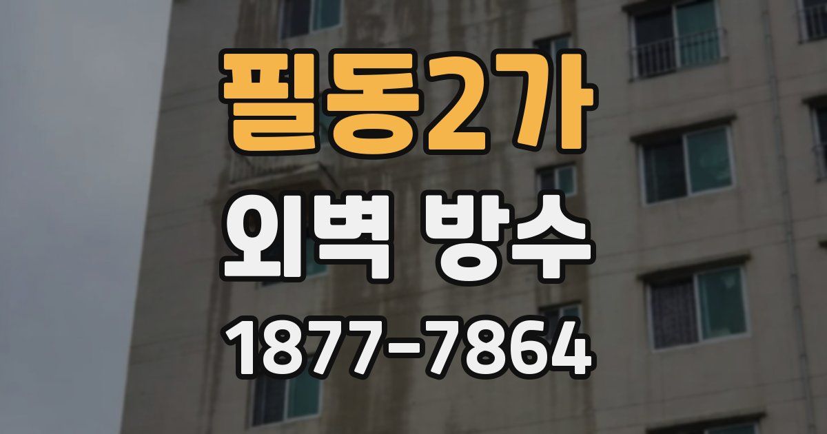 필동2가 외벽 방수